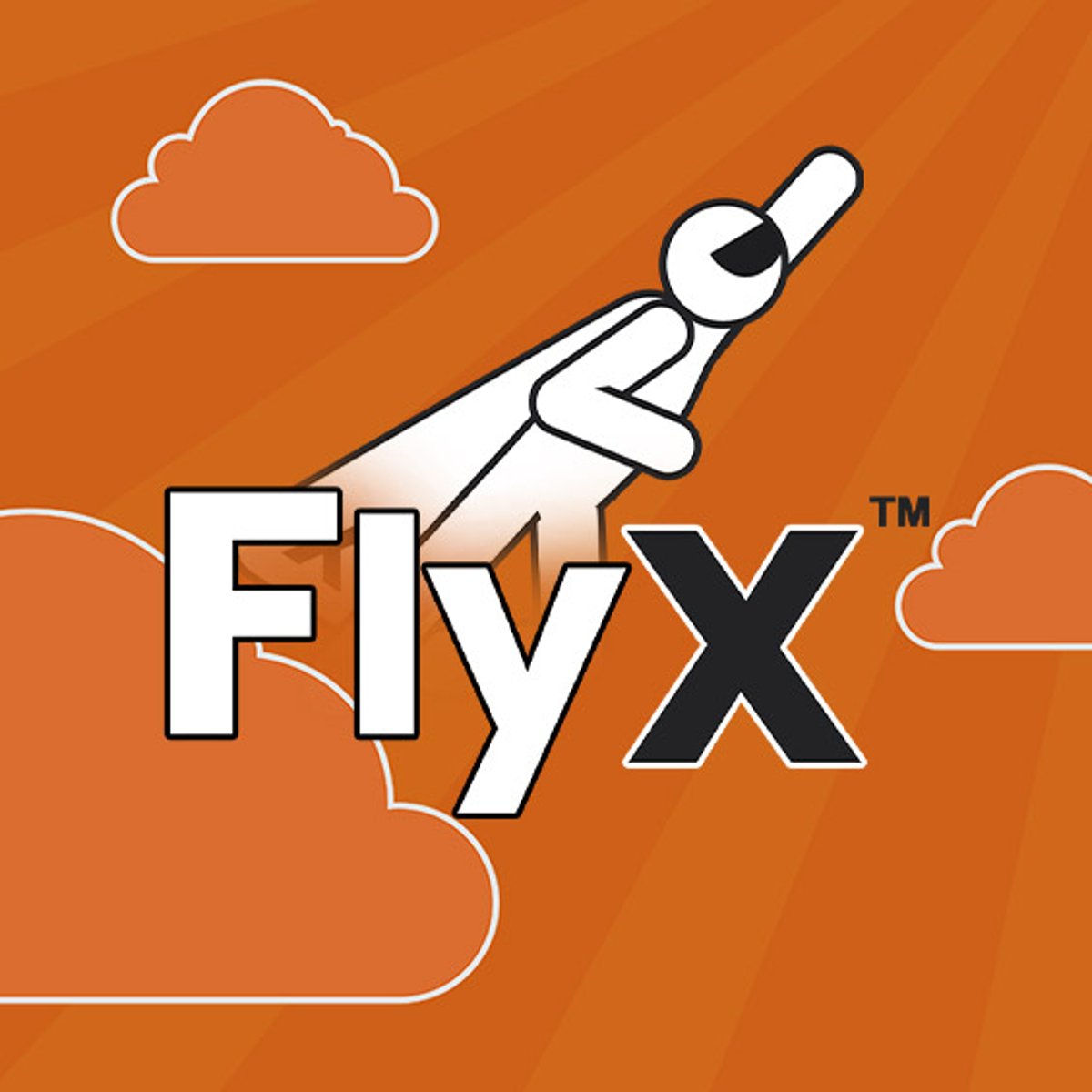 FlyX