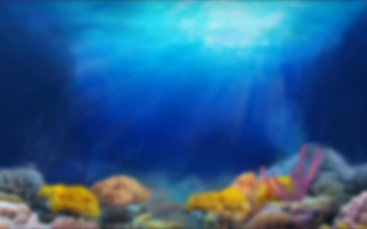 Pearl Lagoon
